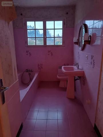 Achat - Maison Cour-Cheverny 41700 4 pièces 100 m 2 1307 m 2
