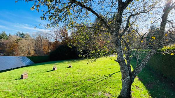 Villa Chantraine avec piscine et bord de forêt