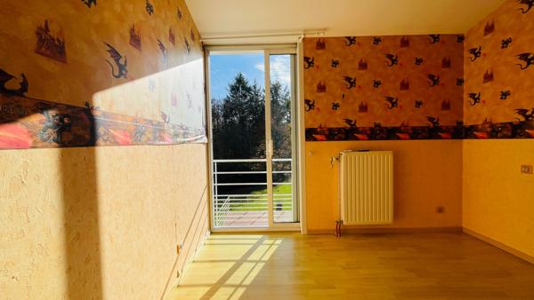 Villa Chantraine avec piscine et bord de forêt