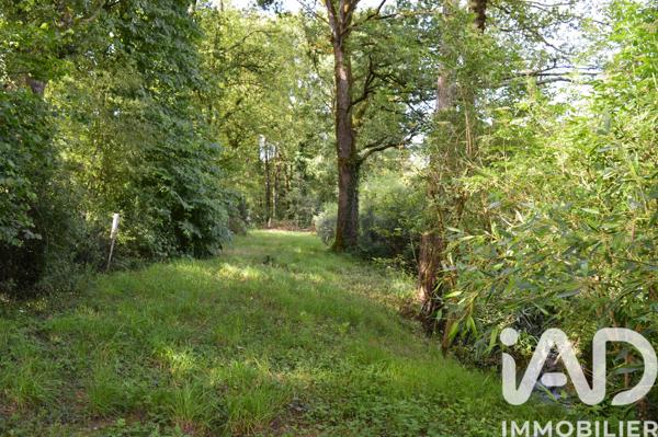 Terrain à vendre 4 555 m² Guémené-Penfao