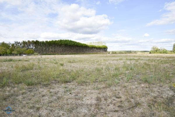 Terrain à vendre de 1 267,00 m² SASSAY (41)