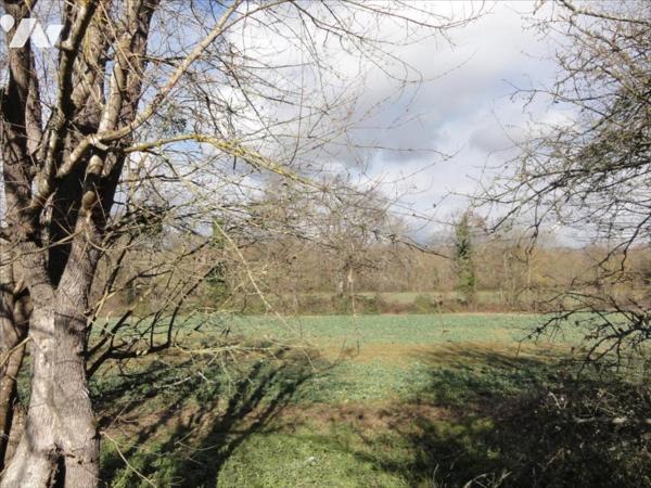 TERRAIN NON VIABILISE