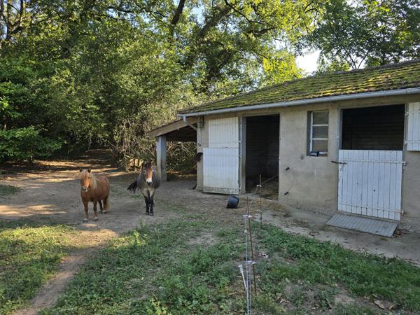 Vente / Maison avec dépendance