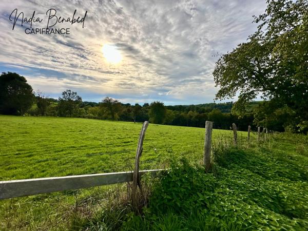 MAIZILLY - Terrain de 4 630,00 m² viabilisable et divisible