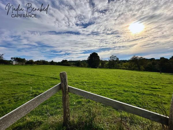 MAIZILLY - Terrain de 4 630,00 m² viabilisable et divisible