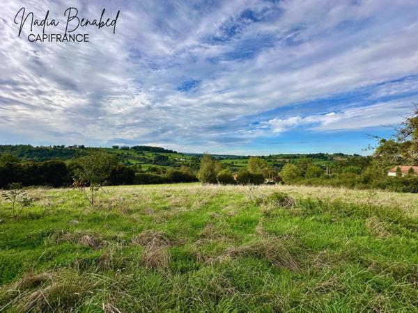 MAIZILLY - Terrain de 4 630,00 m² viabilisable et divisible