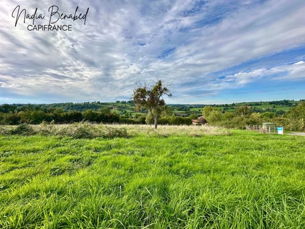 MAIZILLY - Terrain de 4 630,00 m² viabilisable et divisible