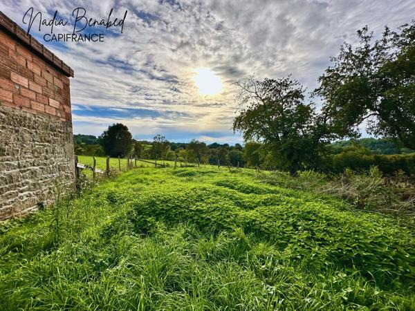 MAIZILLY - Terrain de 4 630,00 m² viabilisable et divisible