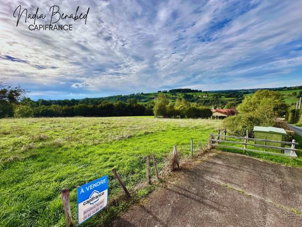 MAIZILLY - Terrain de 4 630,00 m² viabilisable et divisible