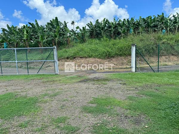Achat terrain Le Lamentin - 2373 m² - 288 900 €