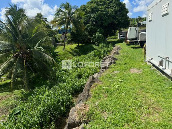 Achat terrain Le Lamentin - 2373 m² - 288 900 €