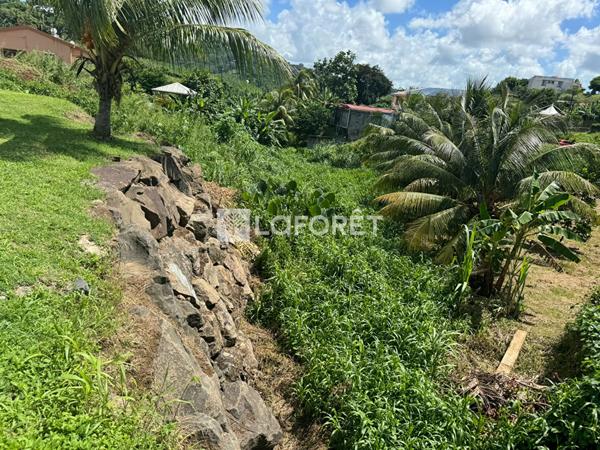 Achat terrain Le Lamentin - 2373 m² - 288 900 €