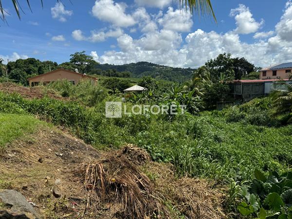 Achat terrain Le Lamentin - 2373 m² - 288 900 €