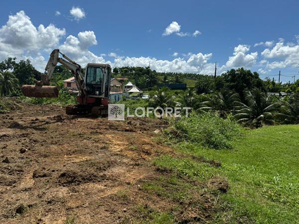 Achat terrain Le Lamentin - 2373 m² - 288 900 €