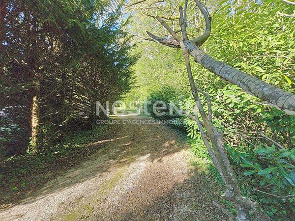 Demeure d'exception avec parc, pièce d'eau et dépendance ? coup de coeur assuré - A deux pas du château de CHEVERNY