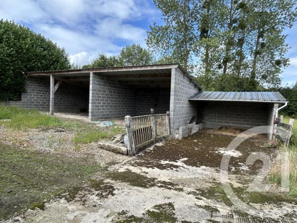 Maison à vendre  8 pièces - 272,80 m2 LOUVIGNE DU DESERT - 35