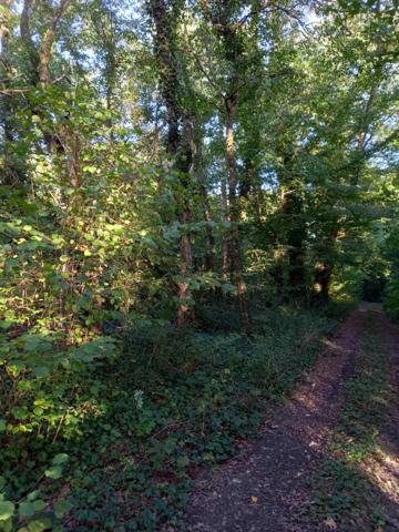 Terrain à vendre de 2 820,00 m² NEMOURS (77)