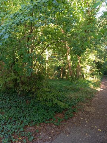 Terrain à vendre de 2 820,00 m² NEMOURS (77)