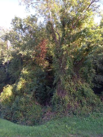 Terrain à vendre de 2 820,00 m² NEMOURS (77)