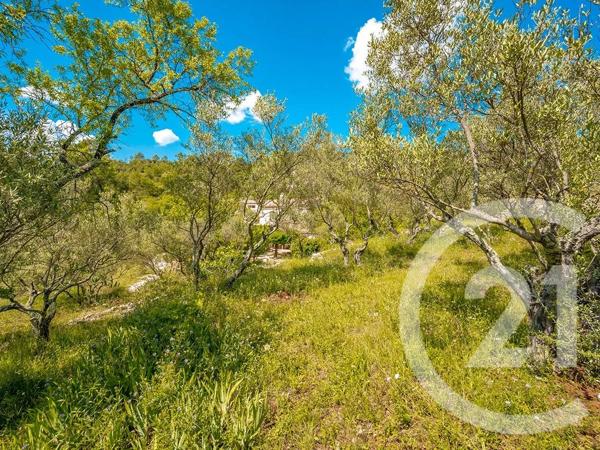 Terrain à vendre  1623 m 2   LA VALETTE DU VAR  - 83