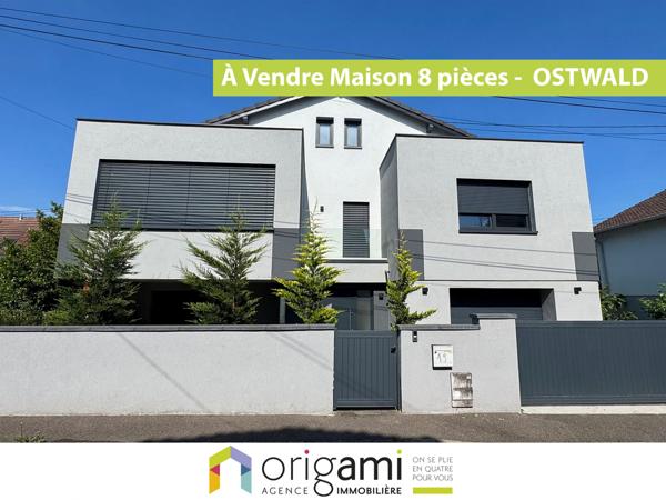 Nouveauté ORIGAMI en EXCLUSIVITE sur OSTWALD