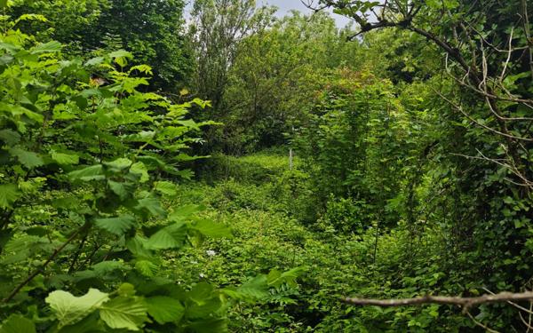 Maison à vendre    7 pièces • 200 m2 Mazamet