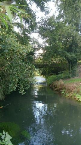 Maison rurale à vendre à Marconnelle dans le Pas-de-Calais (62140), ref : 083/1800