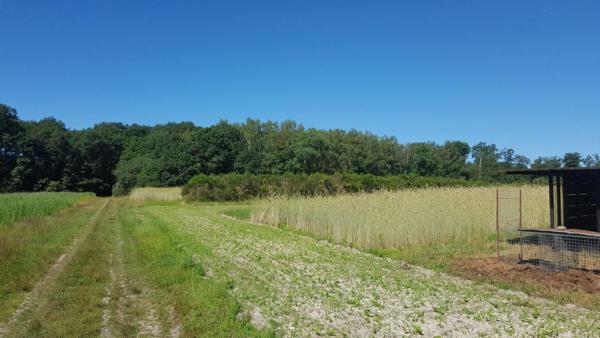 Propriété de chasse Clemont
