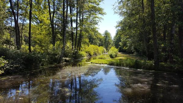 Propriété de chasse Clemont