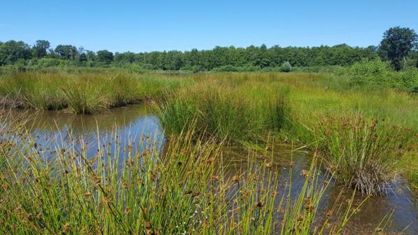 Propriété de chasse Clemont