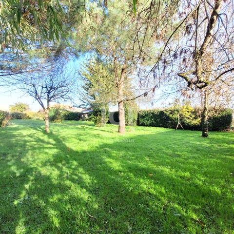 Terrain Chaumes En Retz  300 m²