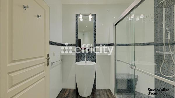 Maison 9 pièces - 433 m² Bien prestige