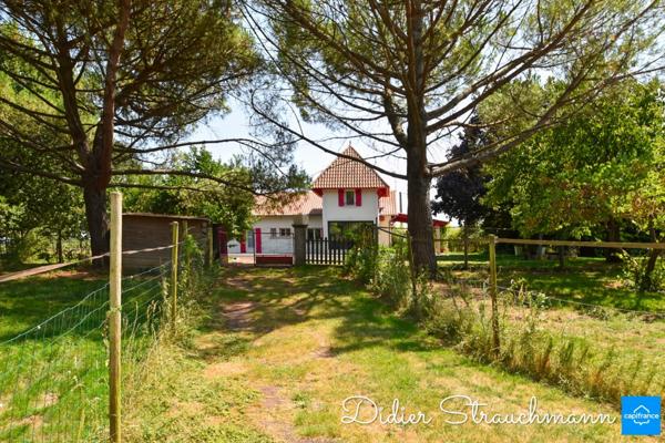 Vente à terme Propriété SURGERES (17)