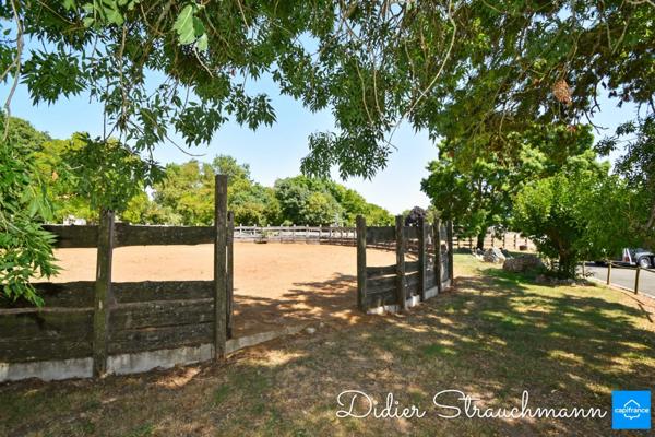 Vente à terme Propriété SURGERES (17)