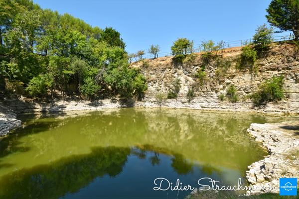 Vente à terme Propriété SURGERES (17)