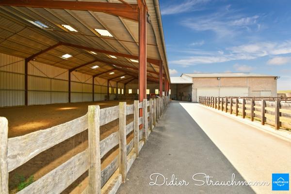 Vente à terme Propriété SURGERES (17)