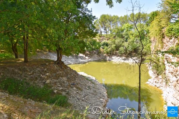 Vente à terme Propriété SURGERES (17)