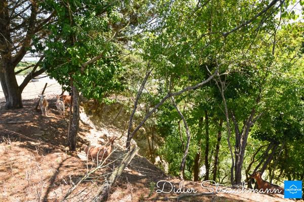 Vente à terme Propriété SURGERES (17)