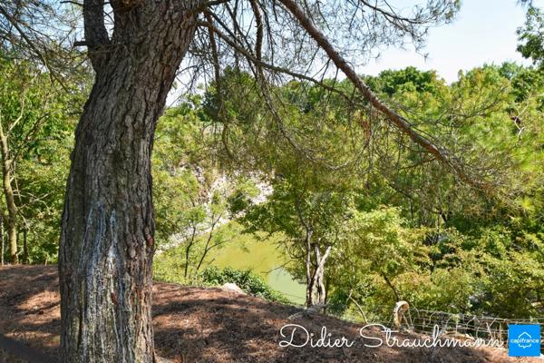 Vente à terme Propriété SURGERES (17)