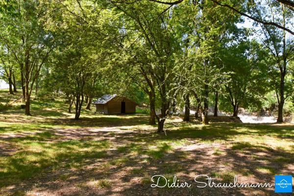 Vente à terme Propriété SURGERES (17)