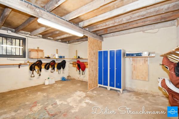 Vente à terme Propriété SURGERES (17)