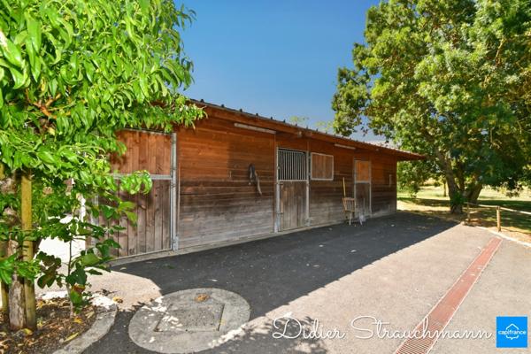 Vente à terme Propriété SURGERES (17)