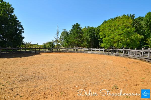 Vente à terme Propriété SURGERES (17)