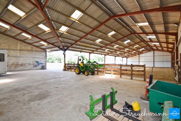 Vente à terme Propriété SURGERES (17)