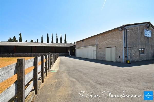 Vente à terme Propriété SURGERES (17)