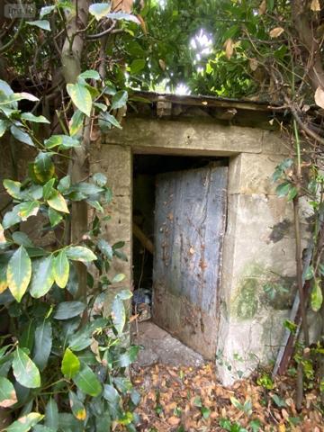 Maison à vendre à Martizay dans l'Indre (36220), ref : 1051111