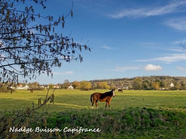 À Vendre – Appartement Meublé avec Vue Dégagée – Houlgate