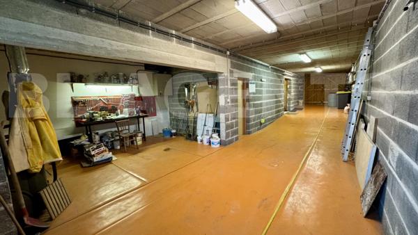 maison/villa 7 pièce(s) 231 m2