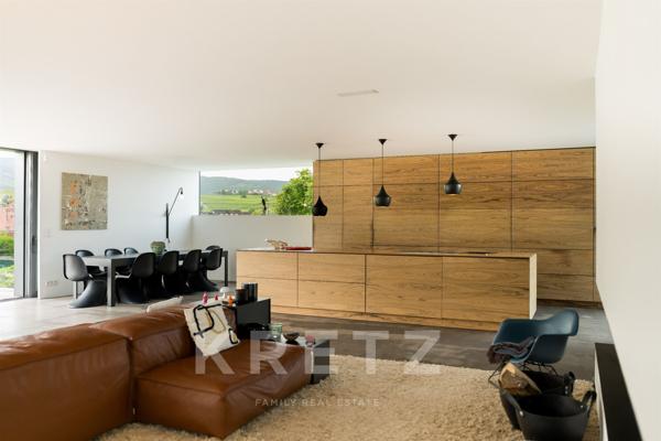 BEBLENHEIM (68980) - VILLA D'ARCHITECTE - PISCINE - SAUNA - AU COEUR DES VIGNES - VUE DÉGAGÉE - ENVI