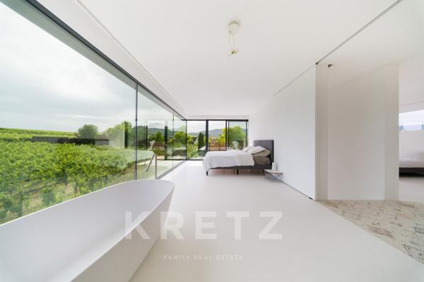 BEBLENHEIM (68980) - VILLA D'ARCHITECTE - PISCINE - SAUNA - AU COEUR DES VIGNES - VUE DÉGAGÉE - ENVI
